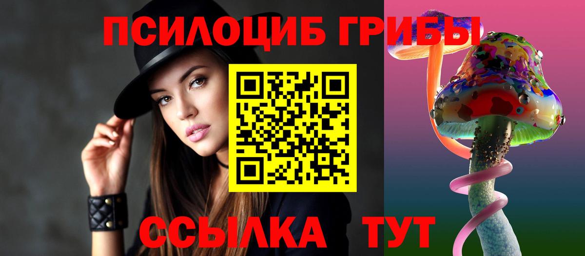Качканар  как найти   Галлюциногенные грибы Psilocybine cubensis  Вход с VPN  Псилоцибиновые грибы Cubensis 